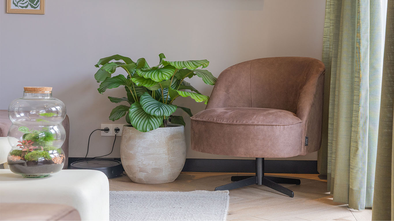 GTV AFL 33 UrbanSofa Fleur Fauteuil in Prescott Brown 2